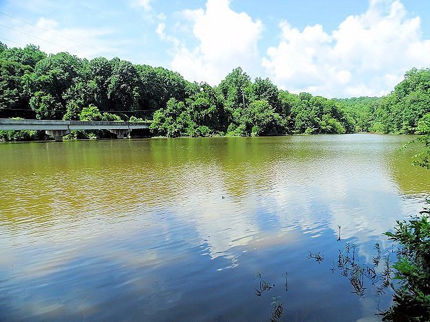 Lake Michie Recreation Area image
