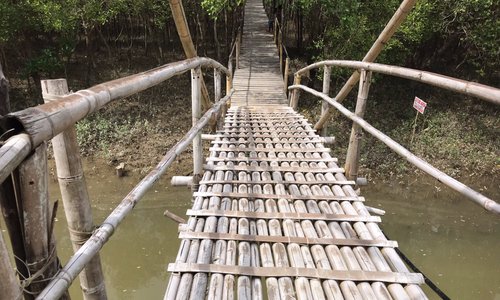 Bamboo bridge 