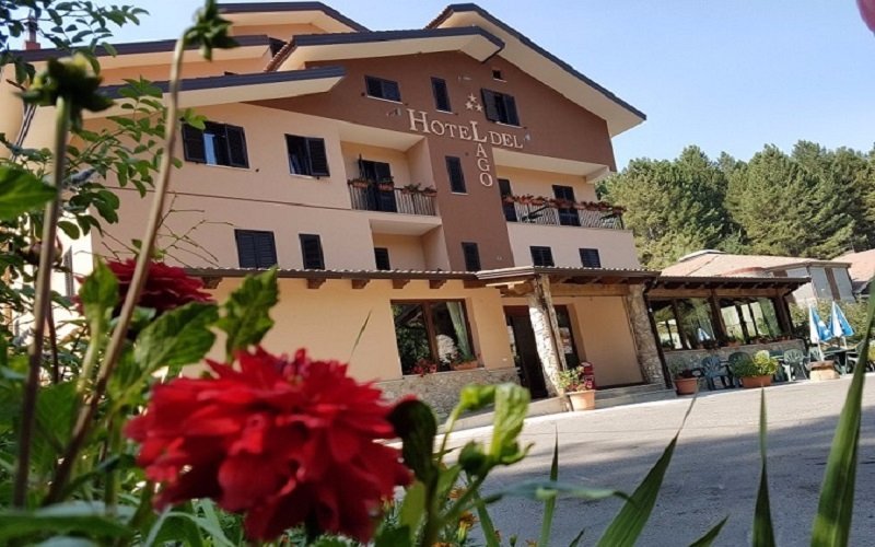 Fiori protagonisti d'estate