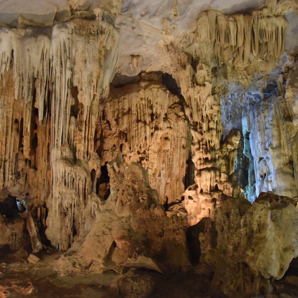 Tien Ong Cave (Halong Bay) - 2022 Alles wat u moet weten VOORDAT je ...