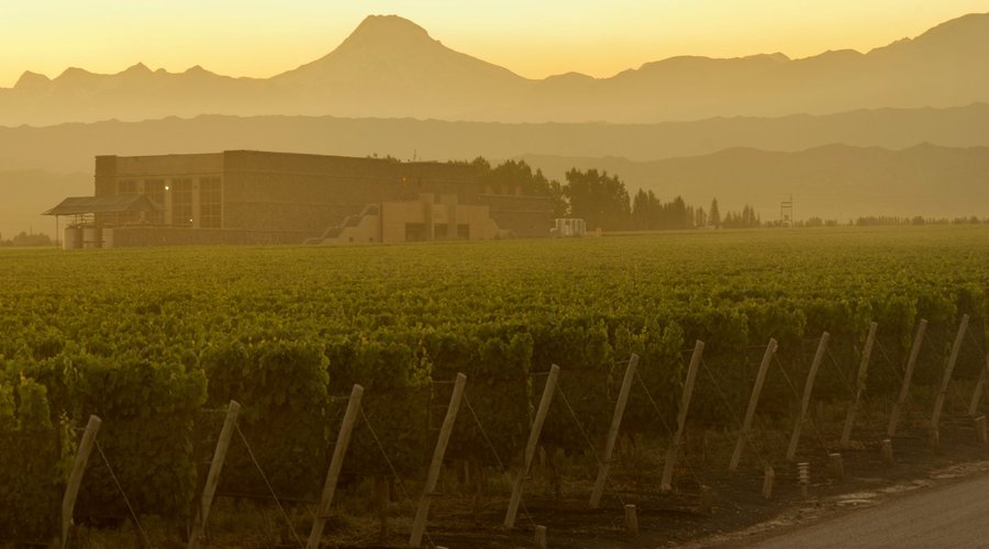 Bodega Séptima