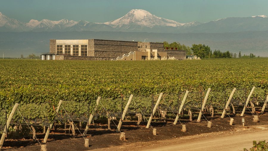 Bodega Séptima