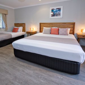 Twin or Triple Room