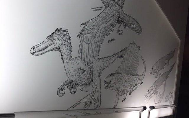 Wall decoration going up the stairs in the museum
