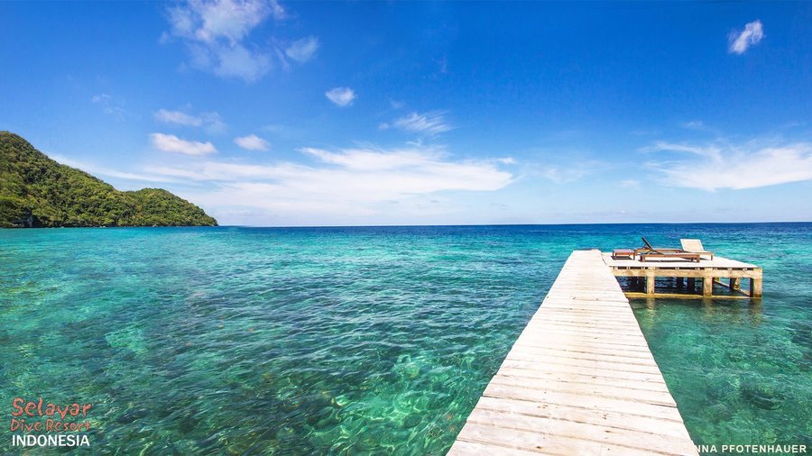 SELAYAR DIVE RESORT Bewertungen, Fotos & Preisvergleich (Selayar