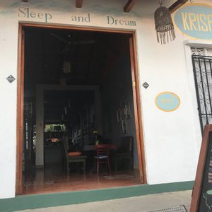 Sleep and Dream