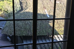 部屋からの眺め