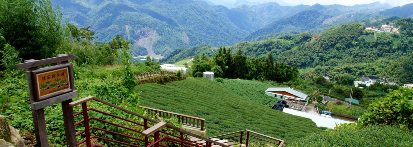 石棹茶之道