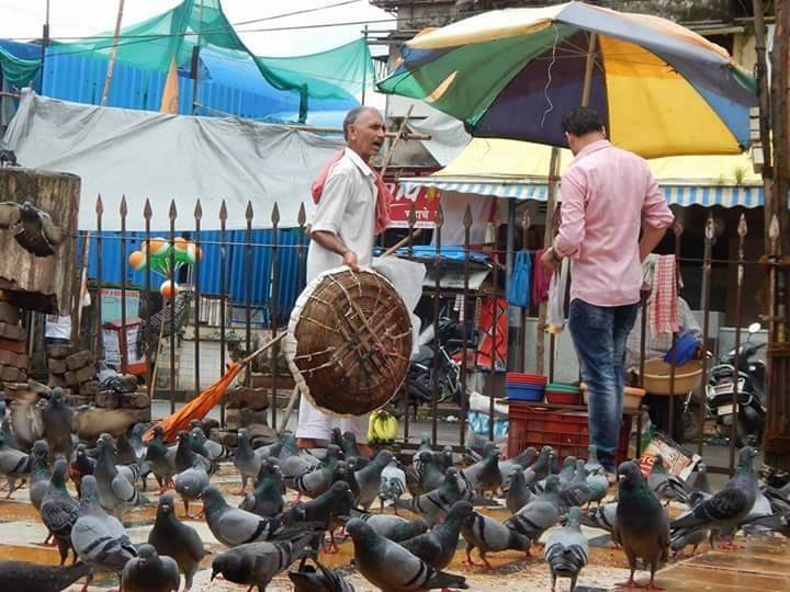 AMBA BAI MATA MANDIR: Tutto quello che c'è da sapere (2024)