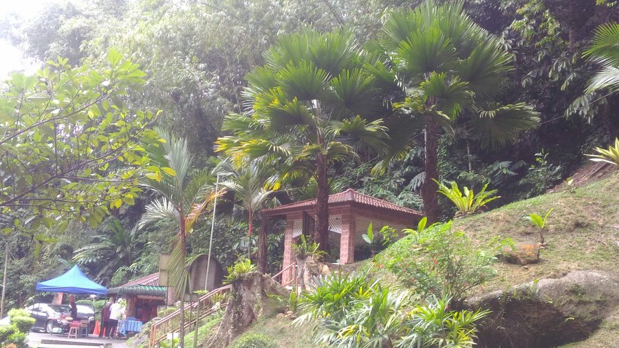 Lata Iskandar
