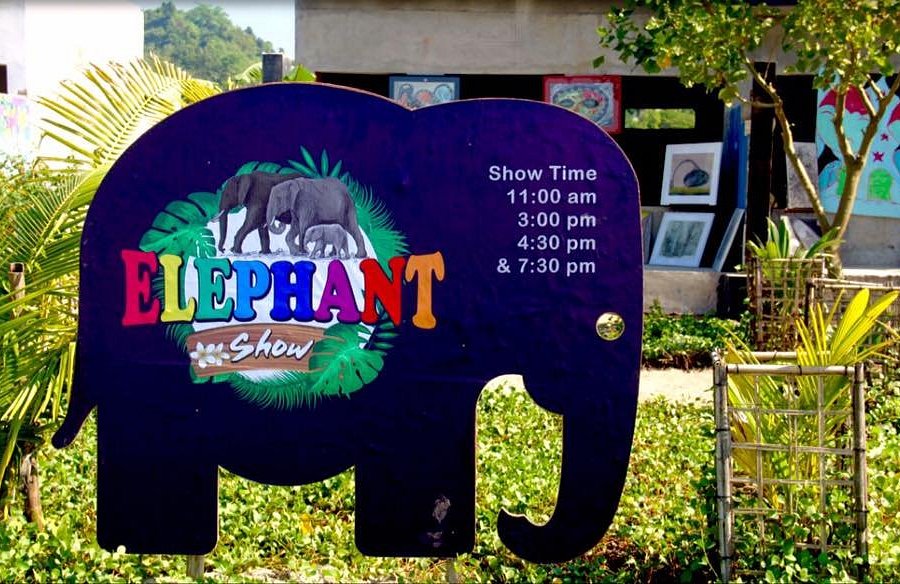 Elephant Show image