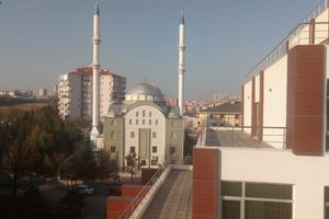Oda ve Süit