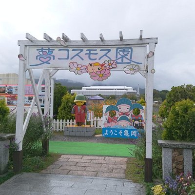 21年 亀岡市で絶対外さないおすすめ観光スポットトップ10 定番から穴場まで トリップアドバイザー 21年 亀岡市で絶対外さないおすすめ観光スポットトップ10 定番から穴場まで トリップアドバイザー