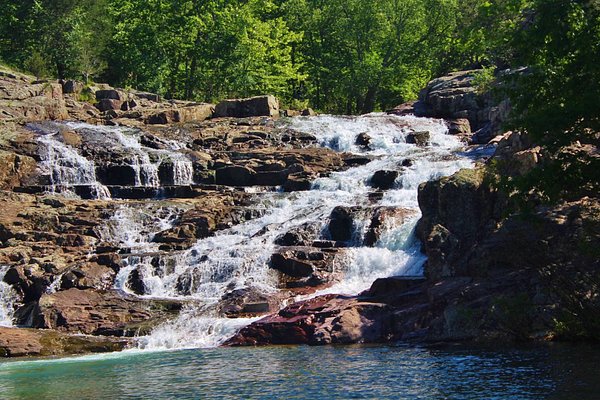 se permiten perros en los parques estatales de missouri stzte park campgrounds