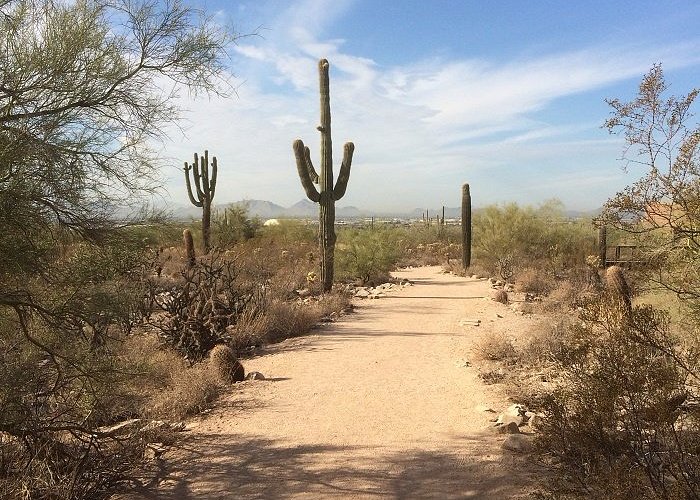 THE 15 BEST Things to Do in Scottsdale - UPDATED 2021 - Must See