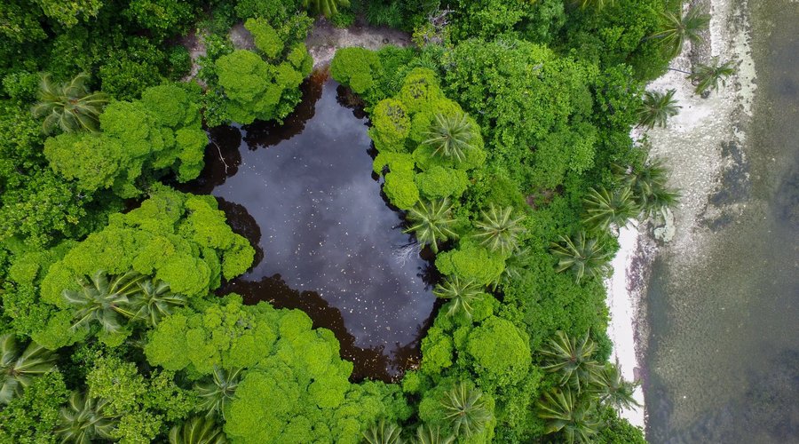 Red Lake (Rai Fengandu)