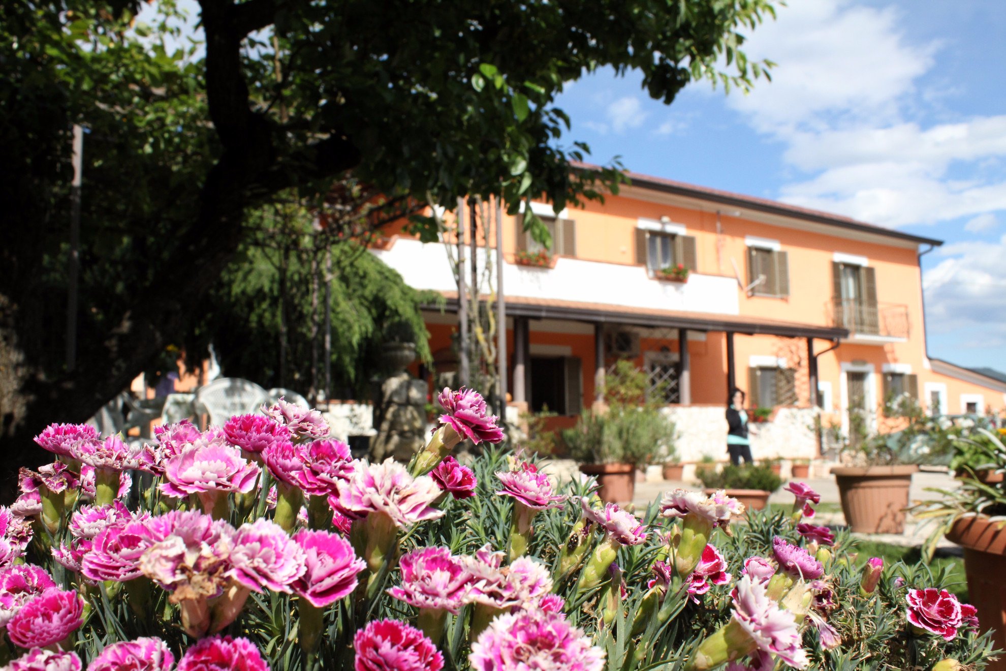 B&B CASALE SHANTI - Prices & Reviews (Piedimonte San Germano, Italy)