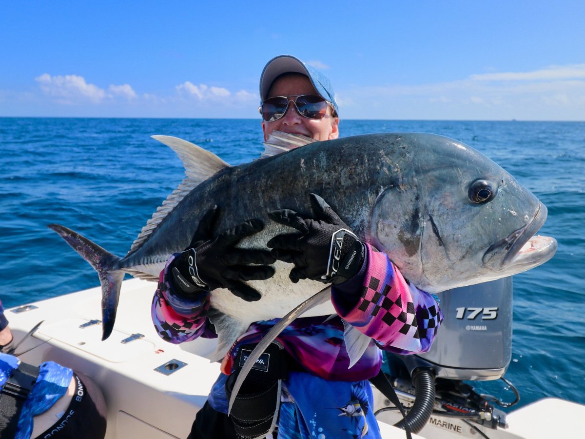 Deep-water denizen stranded in Sept-Îles - Baleines en direct