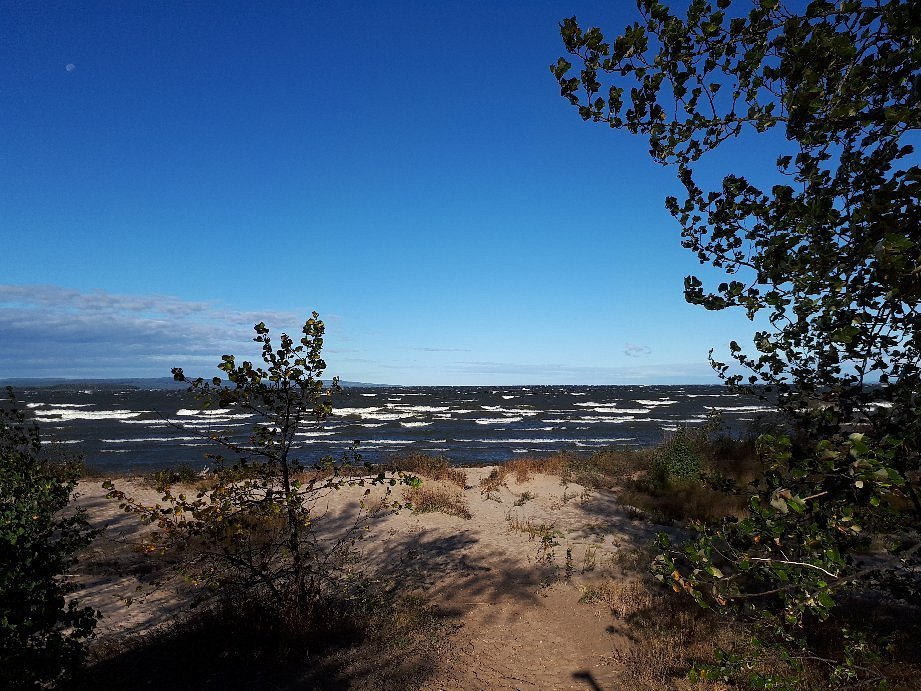 LESSER SLAVE LAKE PROVINCIAL PARK 2023 What to Know BEFORE You Go