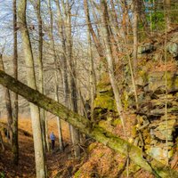 Escape to Grundy Forest: Where Tennessee's Wild Side Thrives