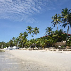 The beach in front of Island View