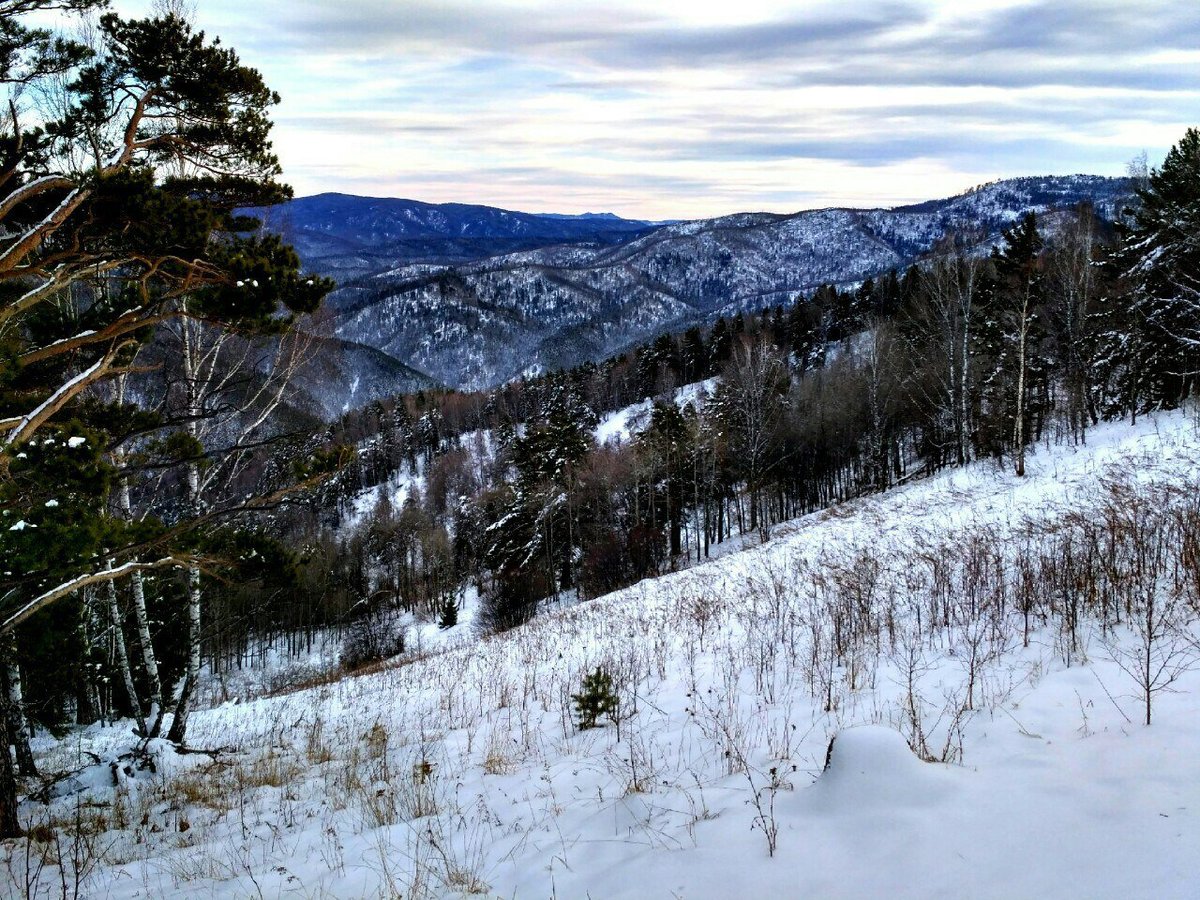 Гора Церковка, Белокуриха: лучшие советы перед посещением - Tripadvisor