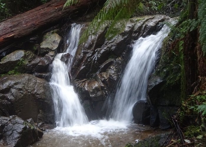 Lower Falls
