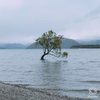 sakuyaqi