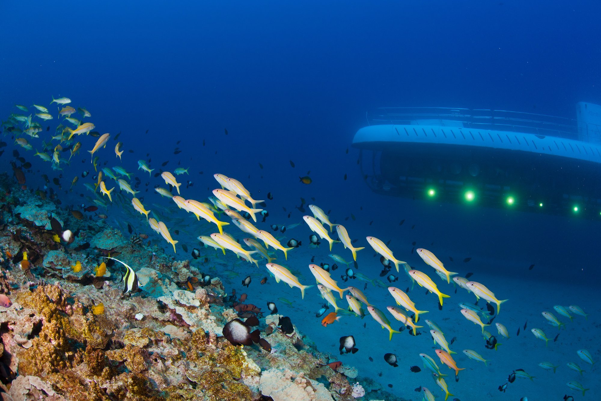 atlantis submarine maui parking