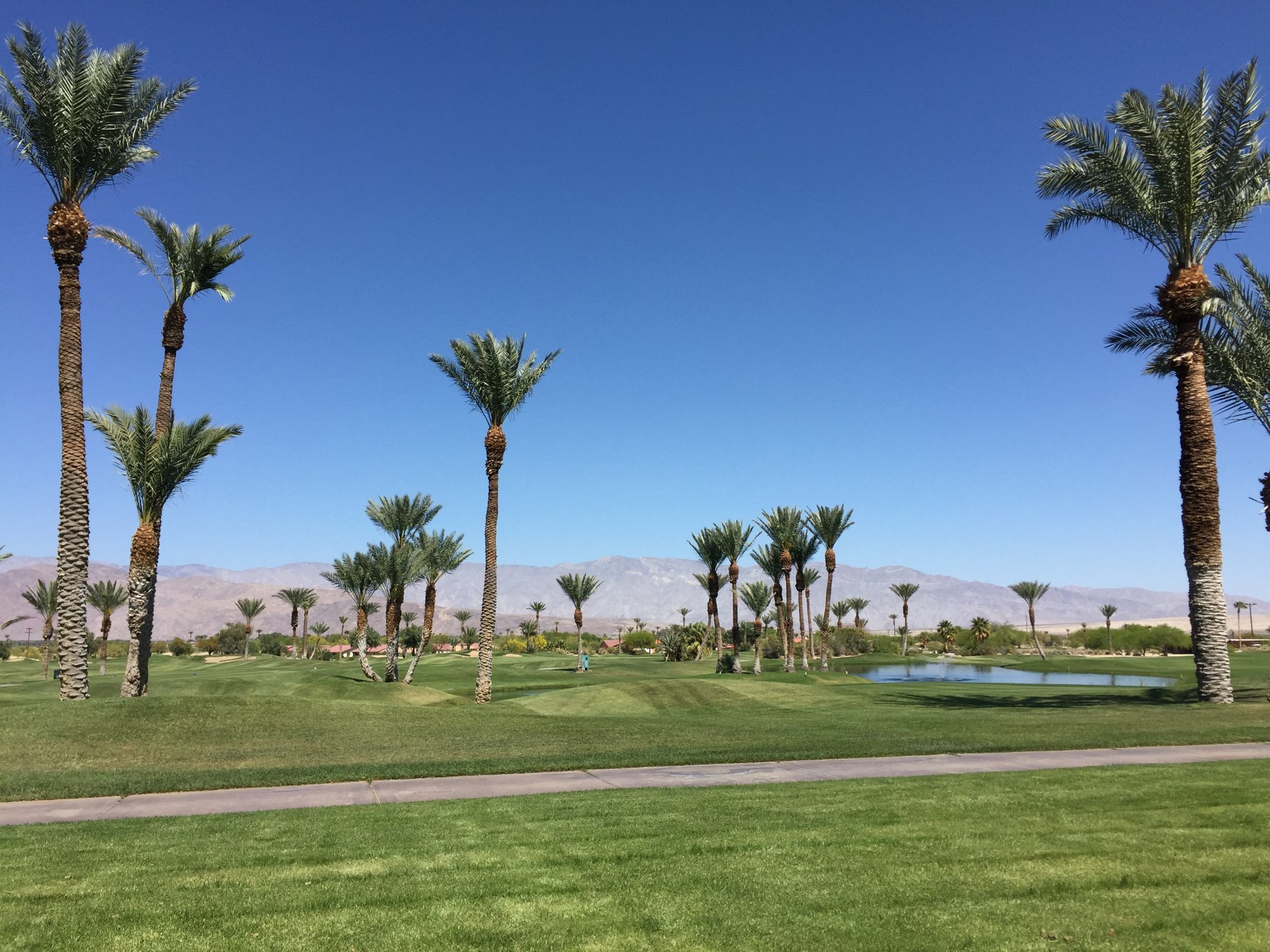 Borrego Springs Resort Golf Club & Spa - Lohnt Es Sich? (Mit Fotos)