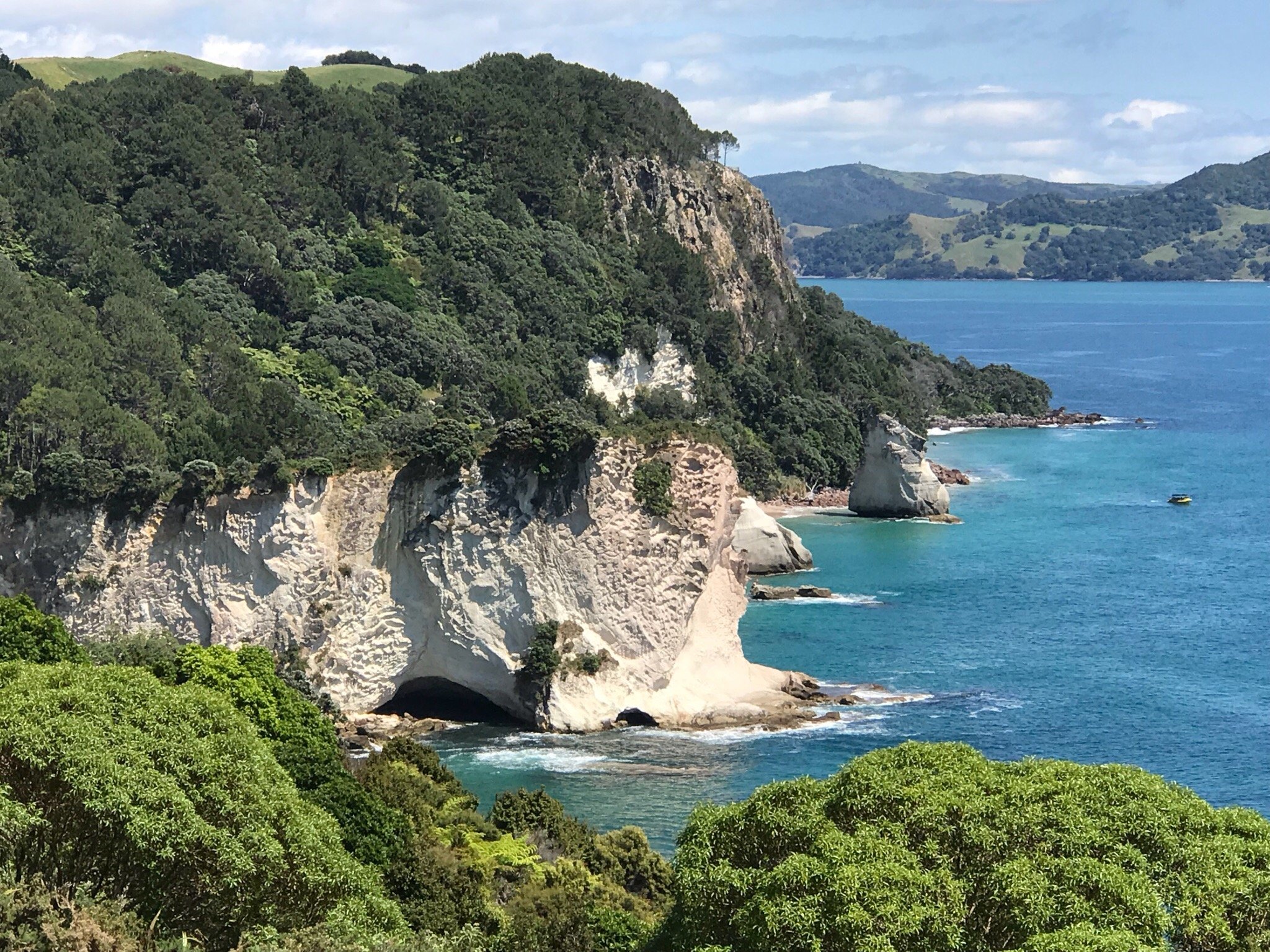 Cathedral Cove Walk All You Need to Know BEFORE You Go 2024