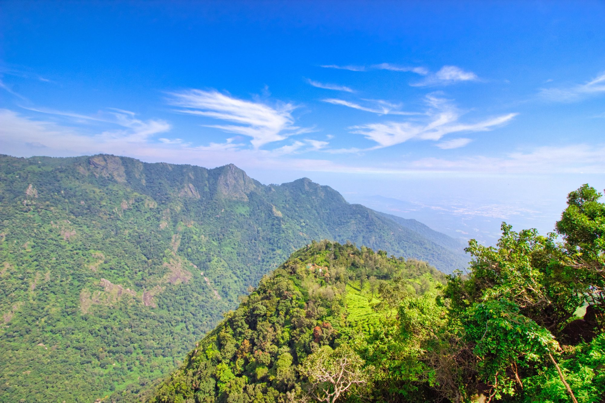 Dolphin's Nose (Coonoor) - 2022 Alles Wat U Moet Weten VOORDAT Je Gaat ...