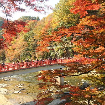 愛知県の谷 盆地 愛知県の 5 件の谷 盆地をチェックする トリップアドバイザー