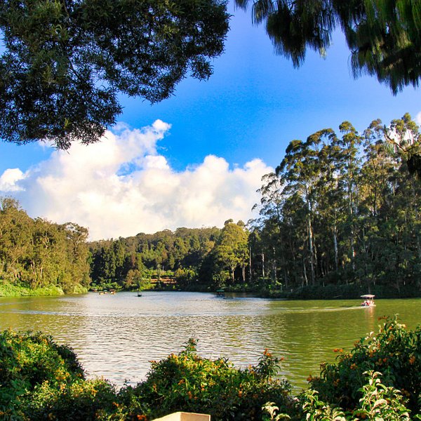 Emerald Lake Ooty Udhagamandalam All You Need To Know Before You Go