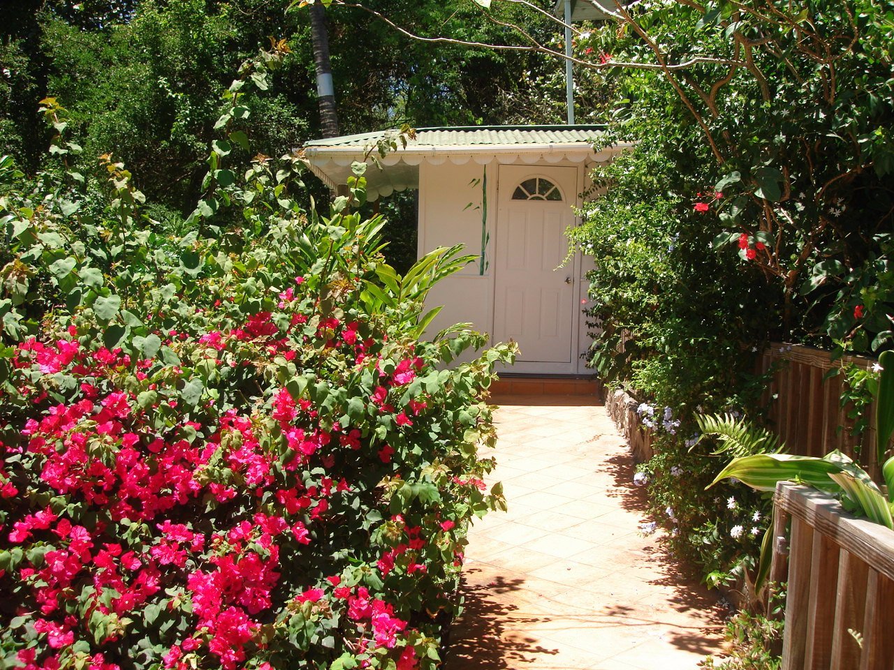 Mango Beach Inn by null