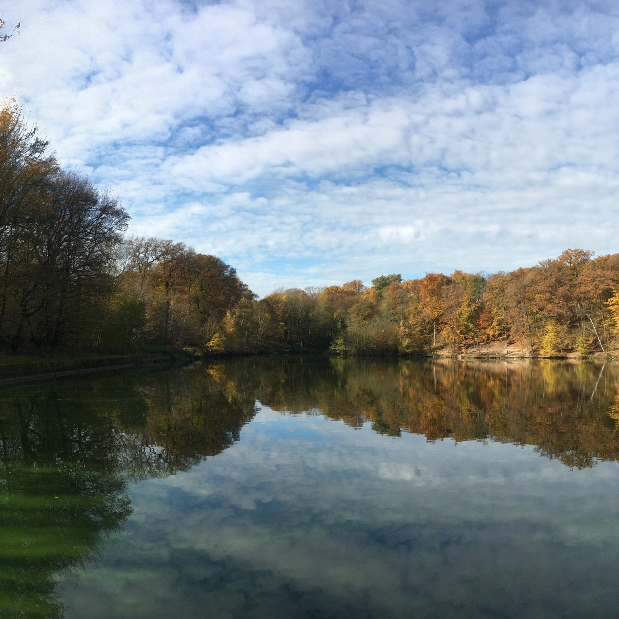 Forêt Domaniale De Meudon - 2022 Alles Wat U Moet Weten VOORDAT Je Gaat ...