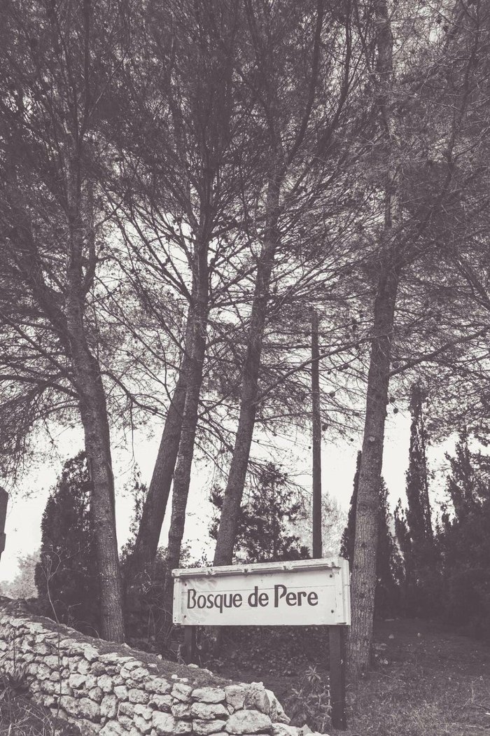 Imagen 2 de Bosque de Pere