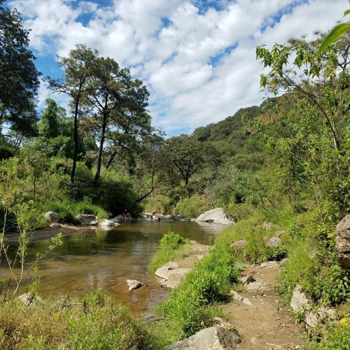 Bosque de la Primavera (Guadalajara) - All You Need to Know BEFORE You Go