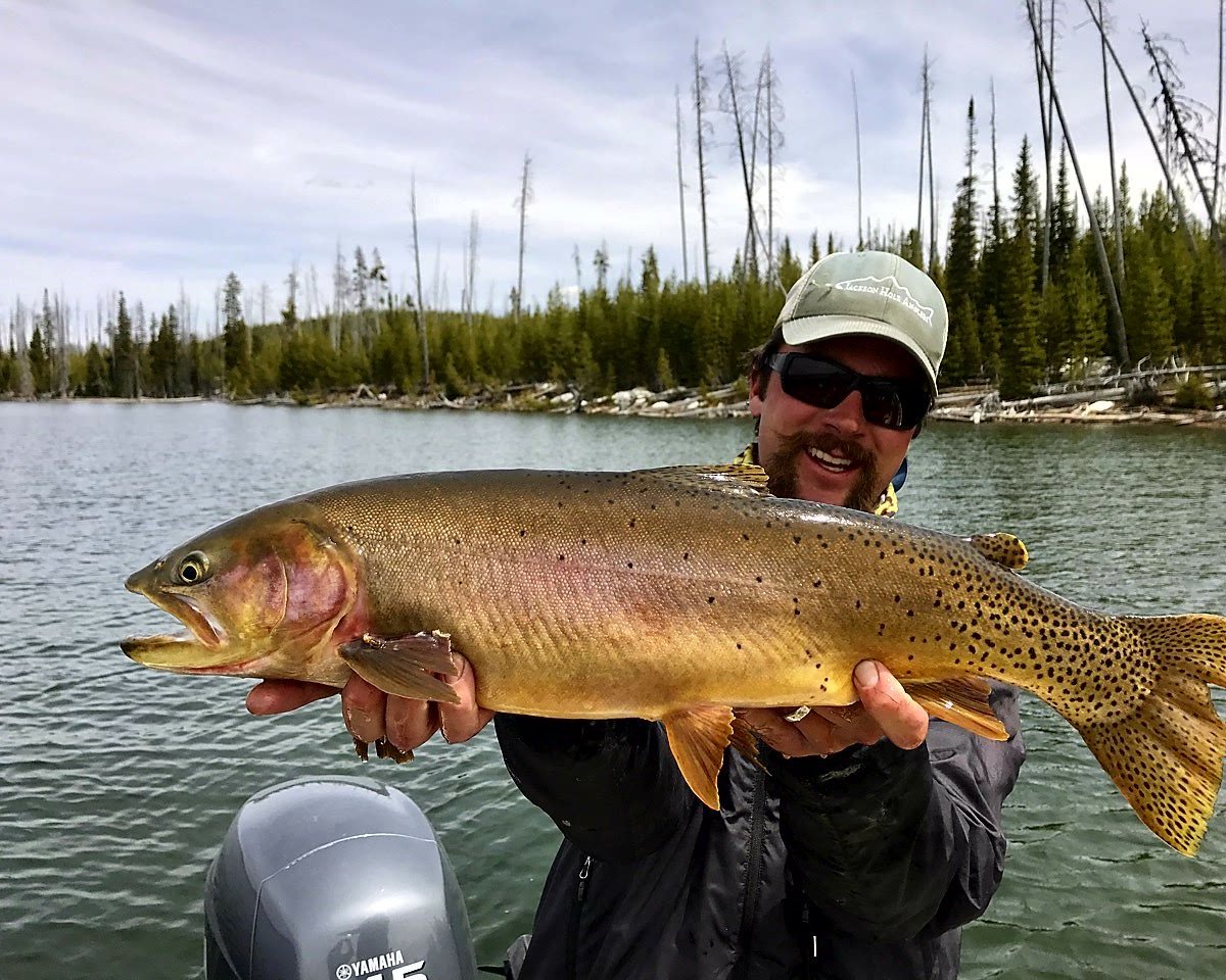 Learn to Fly Fish with Jackson Hole Fly Fishing School