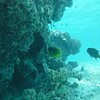 Top 10 Scuba & Snorkeling in South Male Atoll, Kaafu Atoll