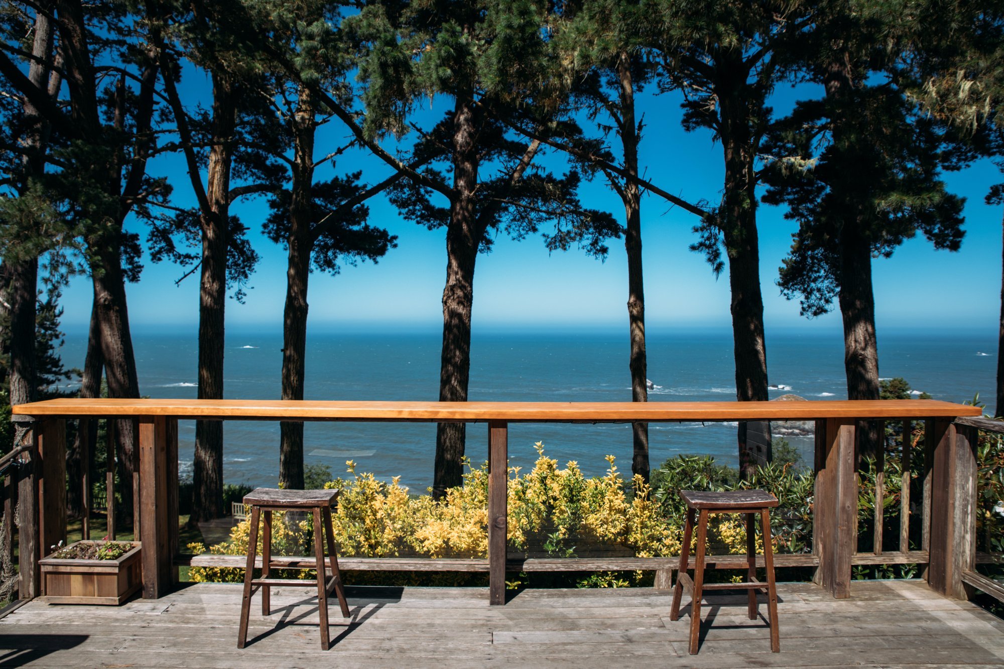 The Lost Whale Inn Oceanfront B&B by null