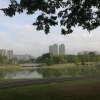 Shenzhen Central Park - All You Need to Know BEFORE You Go