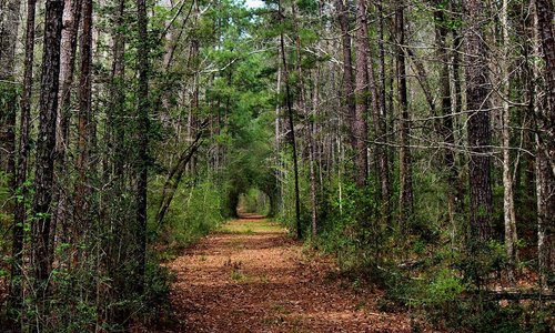 Kountze, TX 2023: Best Places to Visit - Tripadvisor