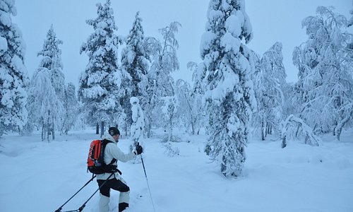 Off road skiing adventure in Finnish Lapland is something to remember for the rest of your life.