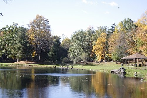 Autumn Reflection outlets at Depew Park