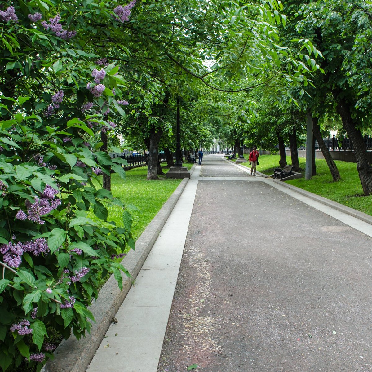 бульвар в москве