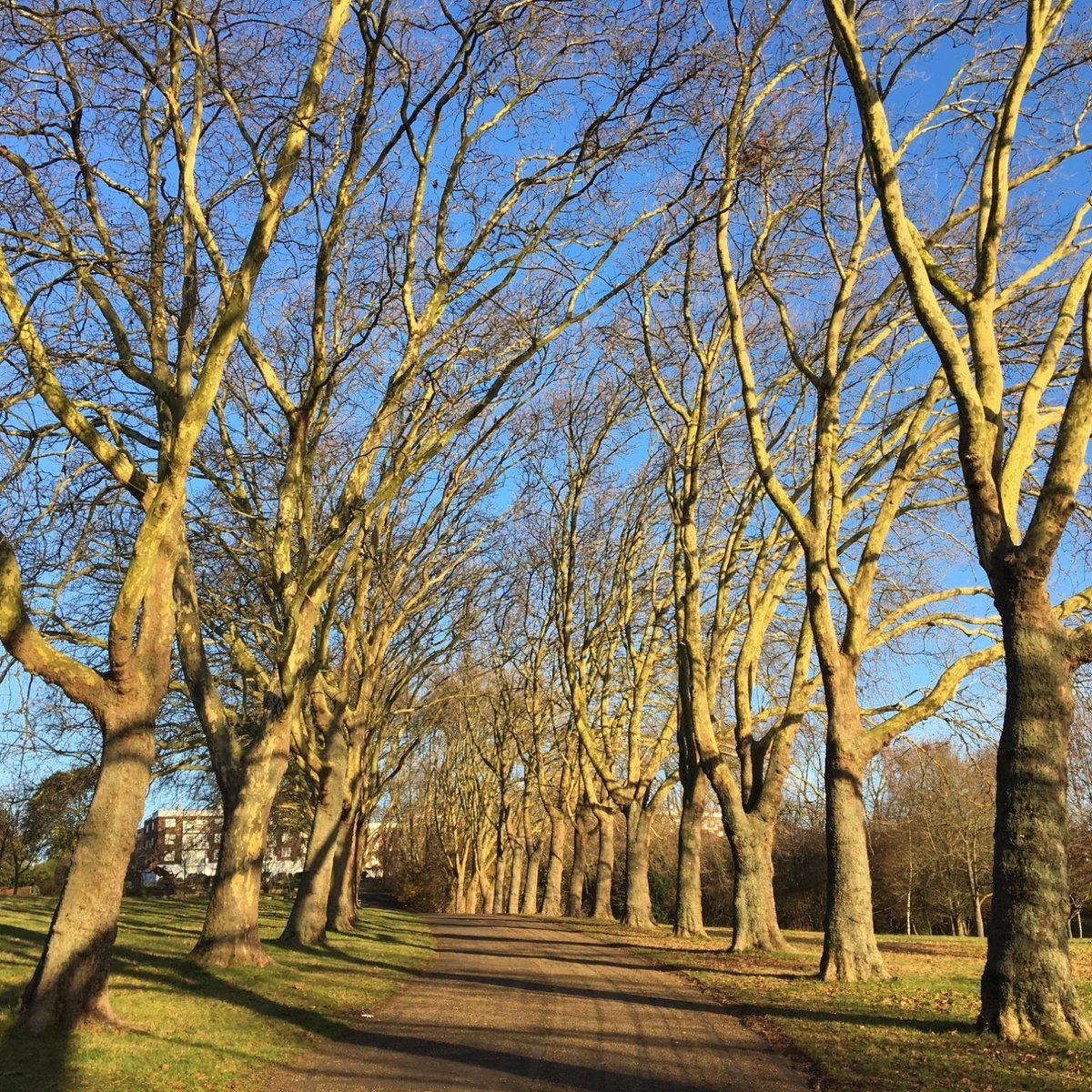 Gladstone Park (Londres) - Lo que se debe saber antes de viajar ...