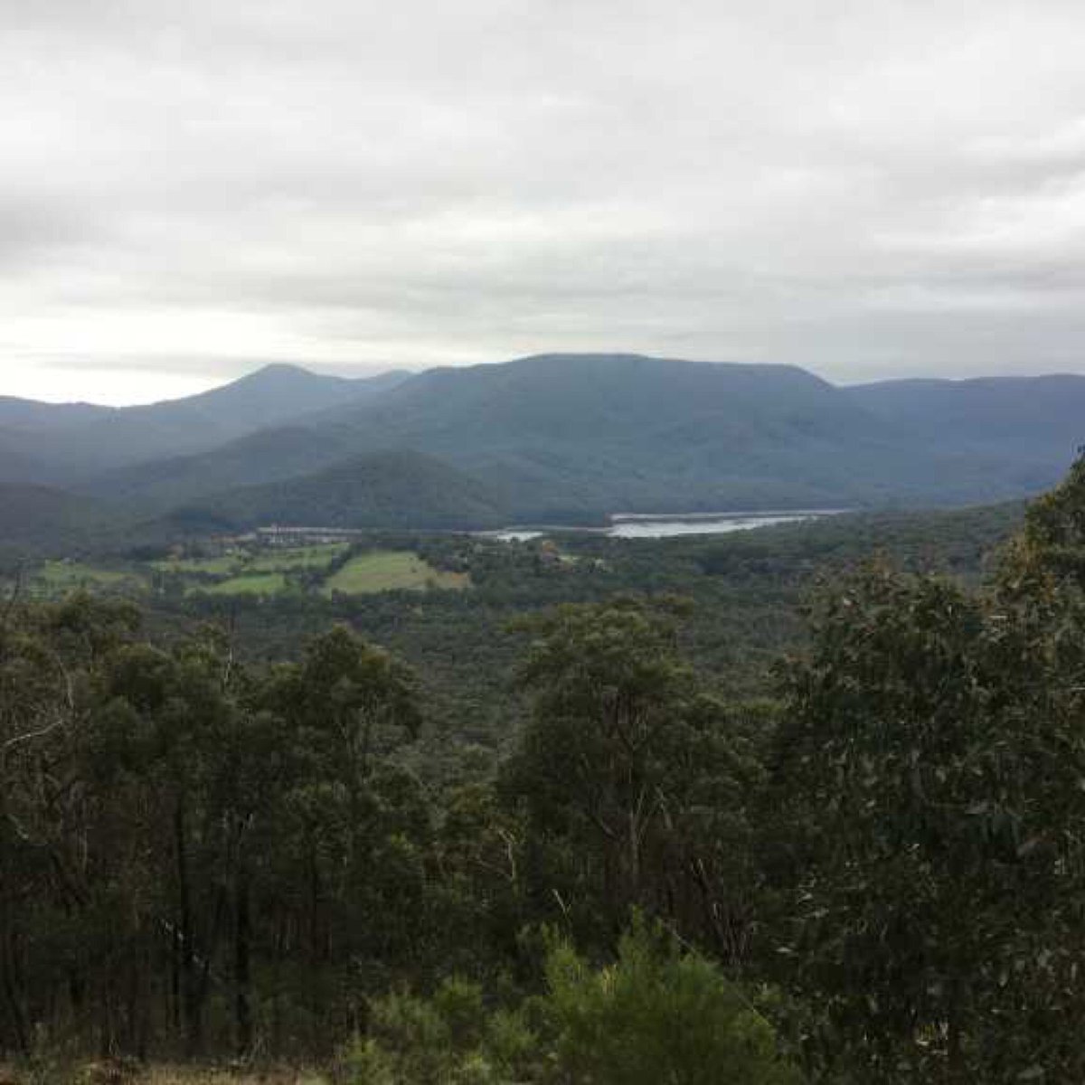 THE 10 BEST Things to Do in Healesville - Tripadvisor