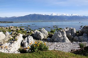 Admiral Court Motel in Kaikoura, image may contain: Wilderness, Rock, Sea, Scenery