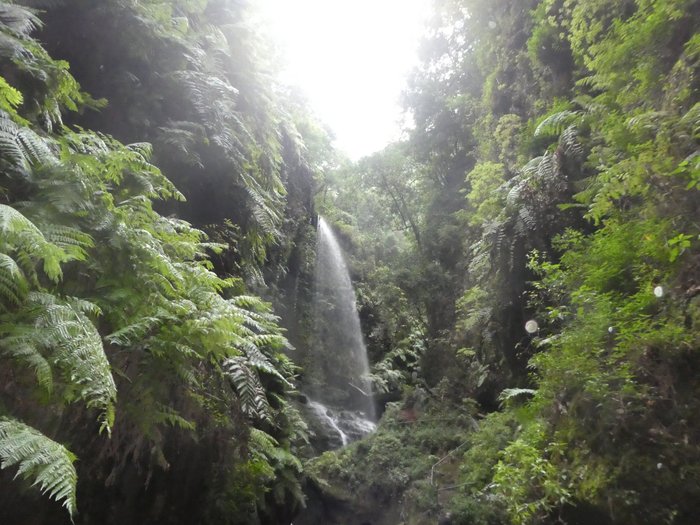 Imagen 7 de Bosque de Los Tilos